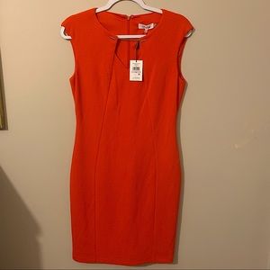 NWT Calvin Klein Sheath Dress - US size 6
